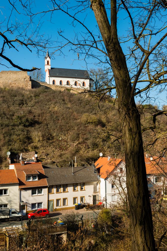 Schlossberg Neu-Bamberg