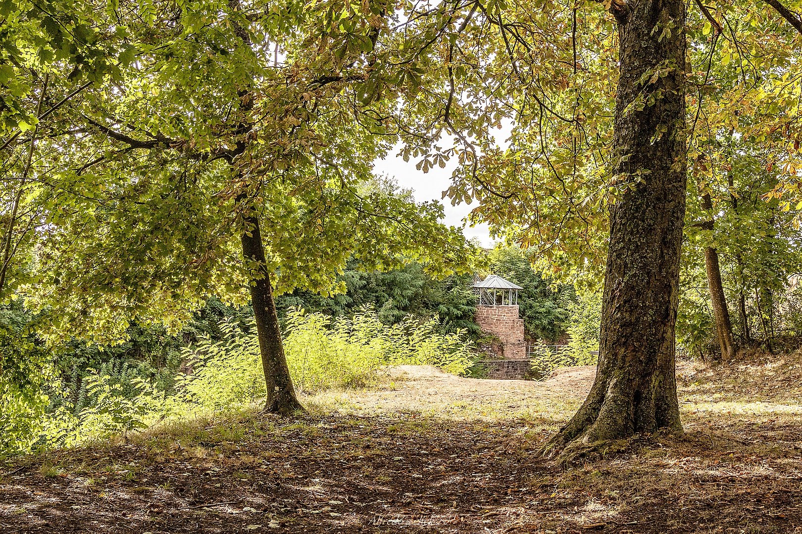 Schlossberg Ruinen lV