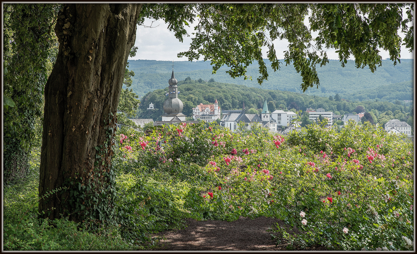 Schloßbergblick auf Arnsberg.