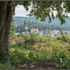 Schloßbergblick auf Arnsberg.