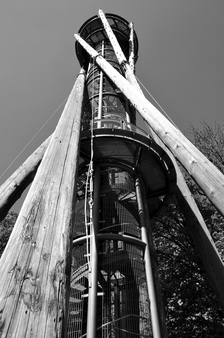 Schlossbergturm Freiburg