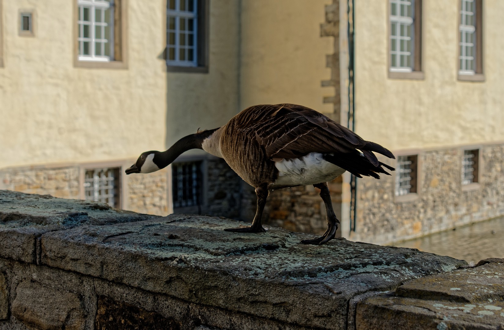 Schloßbesuch