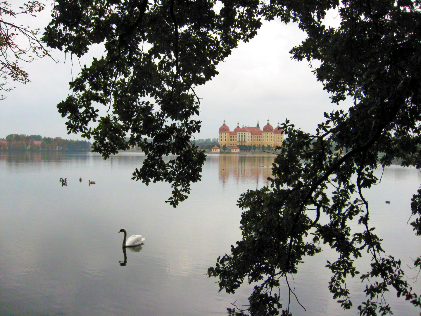 Schloßblick (2)