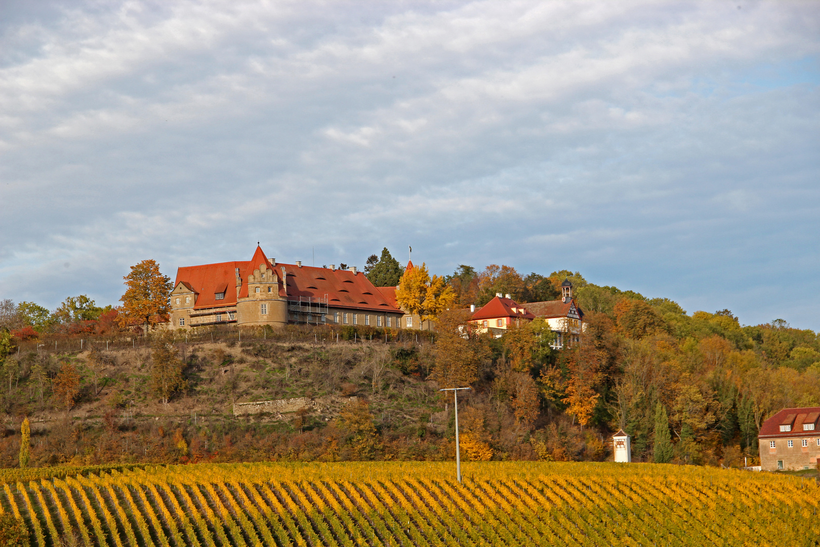 ~ Schlossblick ~