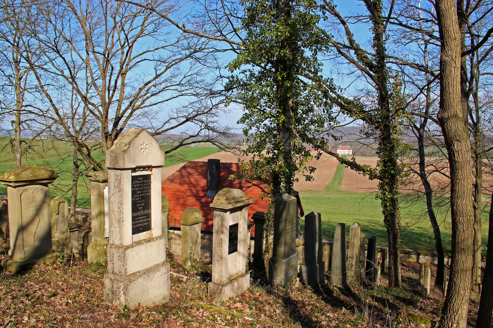 Schlossblick