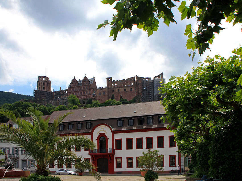 Schloßblick