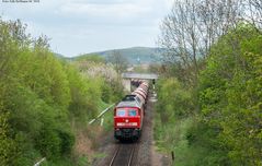 Schloßblick im Frühjahr