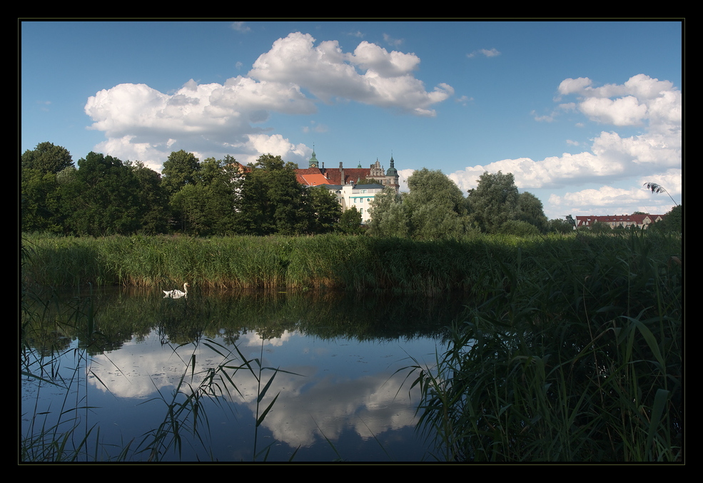 Schlossblick mit Schwan