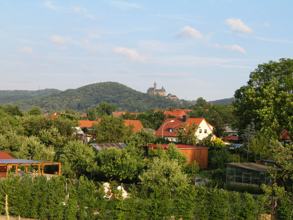 Schlossblicke - Harzblicke - Gartenblicke