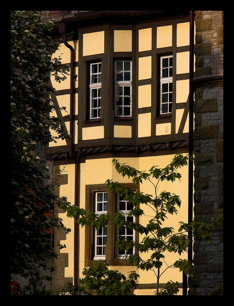 Schloßfassade in der Abendsonne