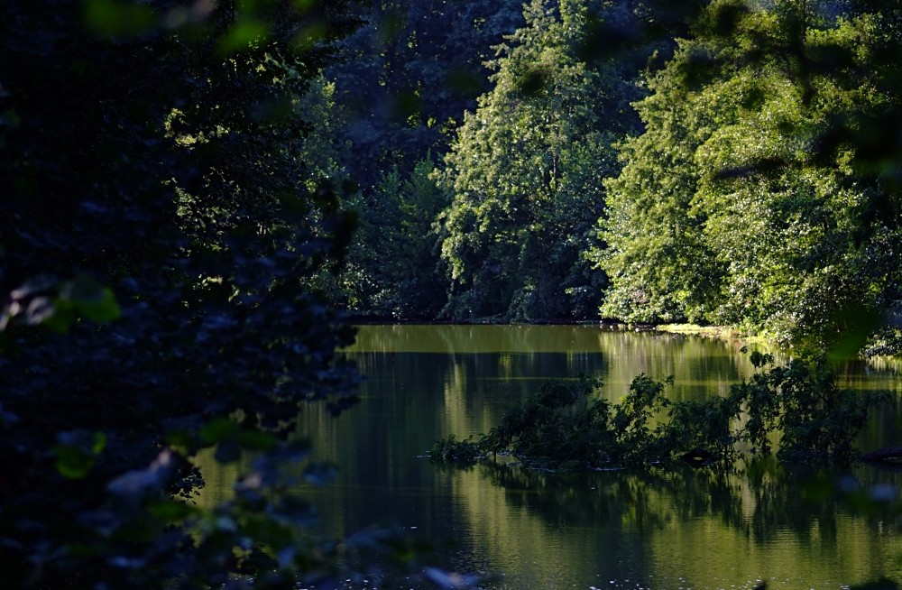 Schlossgarten