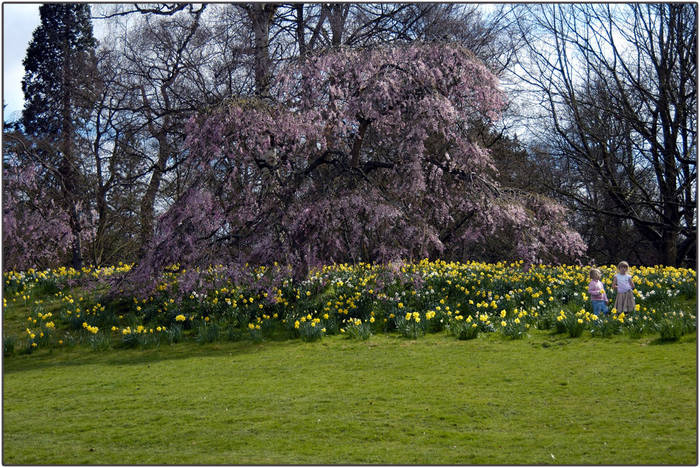 Schlossgarten 2