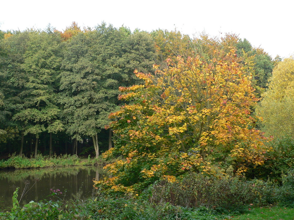 Schlossgarten