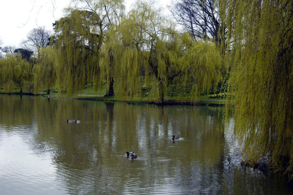 Schloßgarten 8