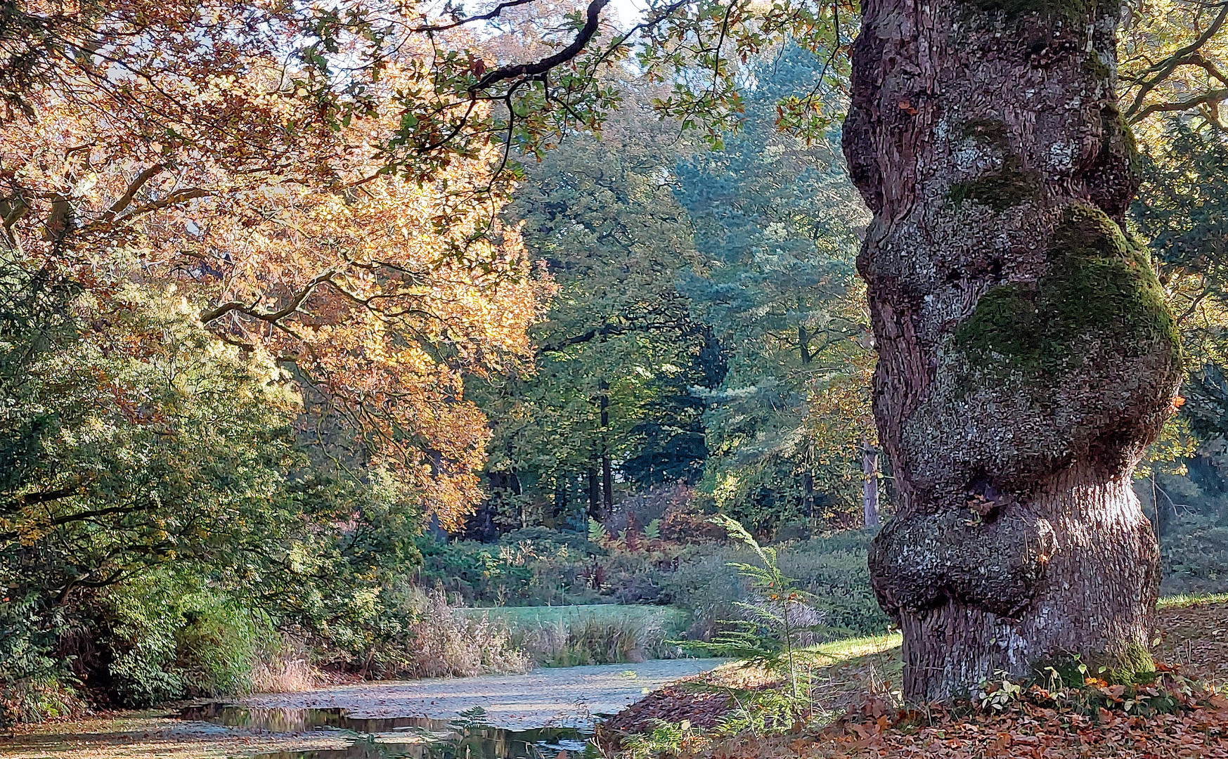 Schloßgarten