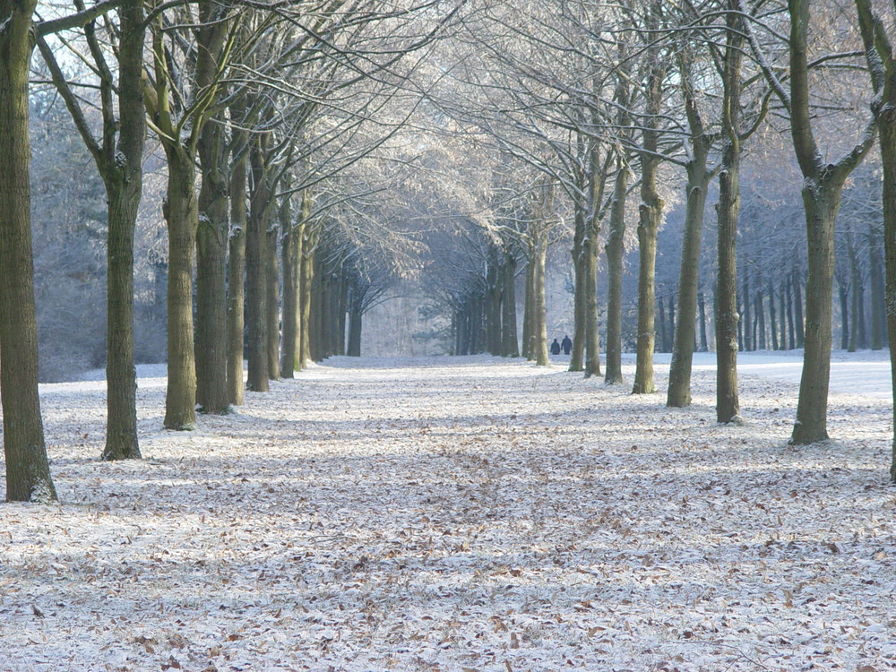 Schlossgarten Allee