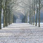 Schlossgarten Allee