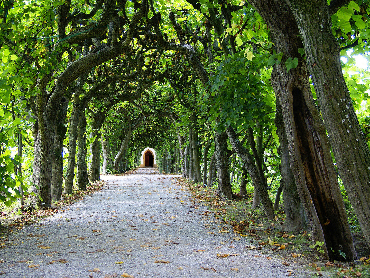 Schlossgarten Dachau