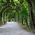 Schlossgarten Dachau