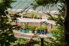 "Schlossgarten Dachau - Backstage"