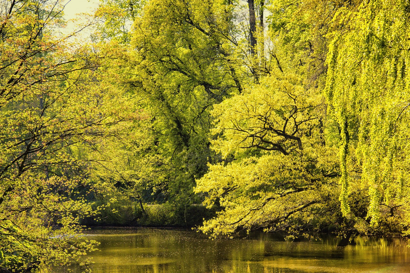 Schlossgarten