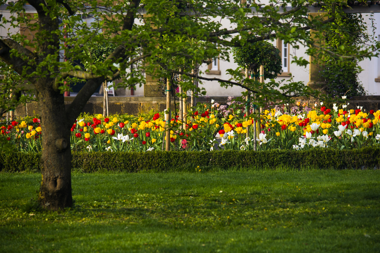 Schlossgarten Donzdorf