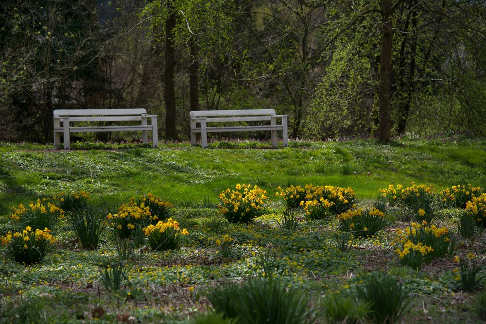 Schlossgarten Donzdorf