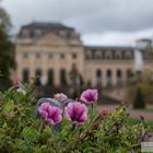 Schlossgarten Fulda