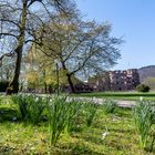 Schlossgarten Heidelberg im Frühling