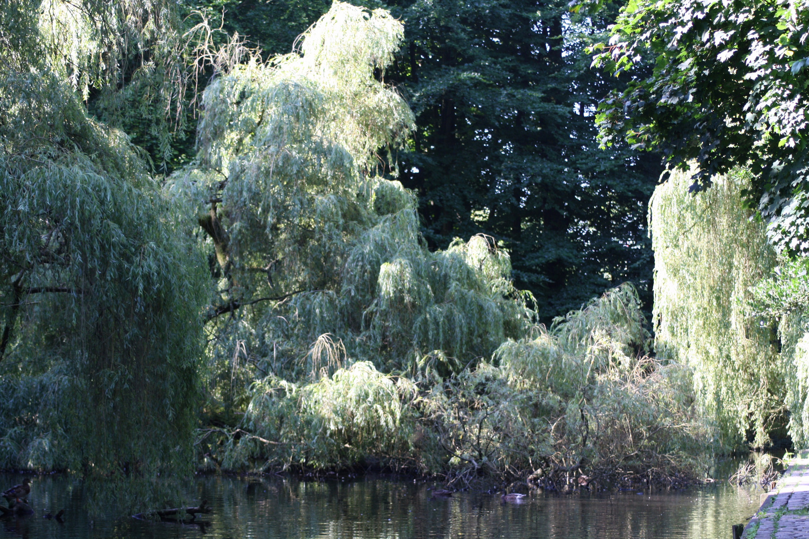 Schloßgarten in Cuxhaven