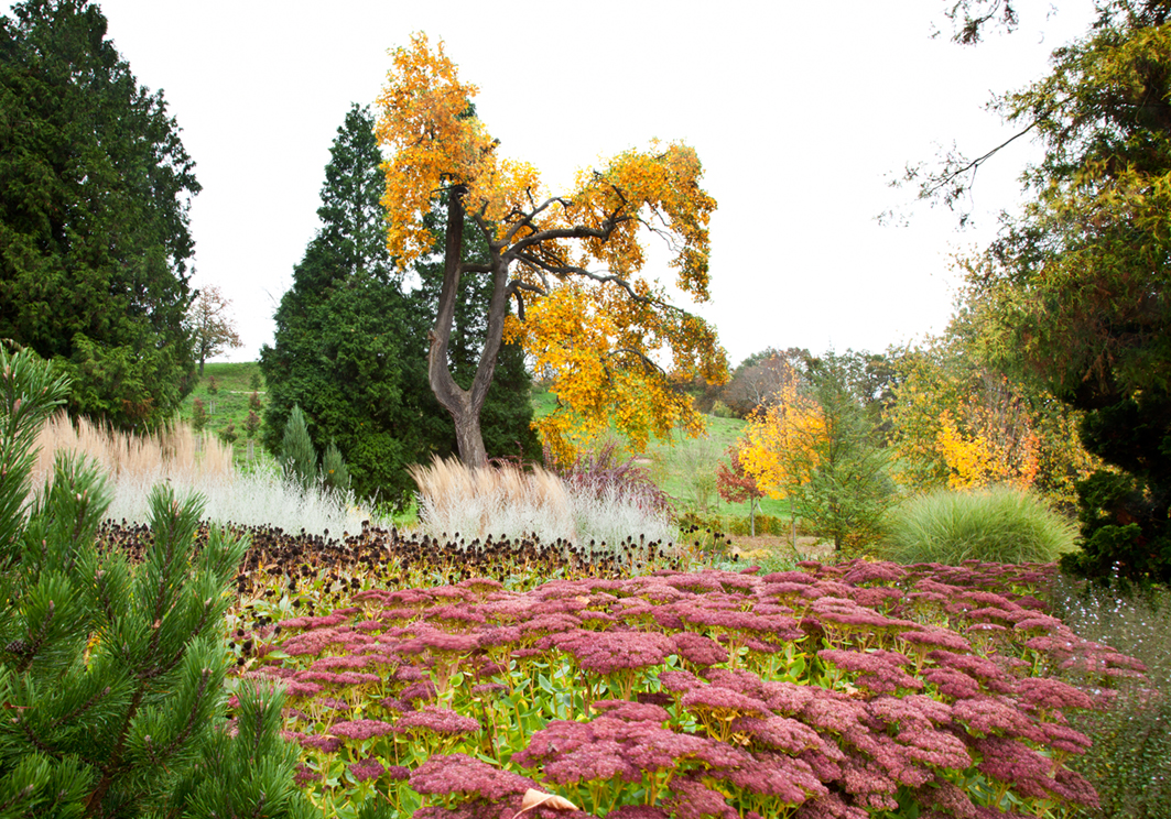 Schlossgarten in Karlsbrunn