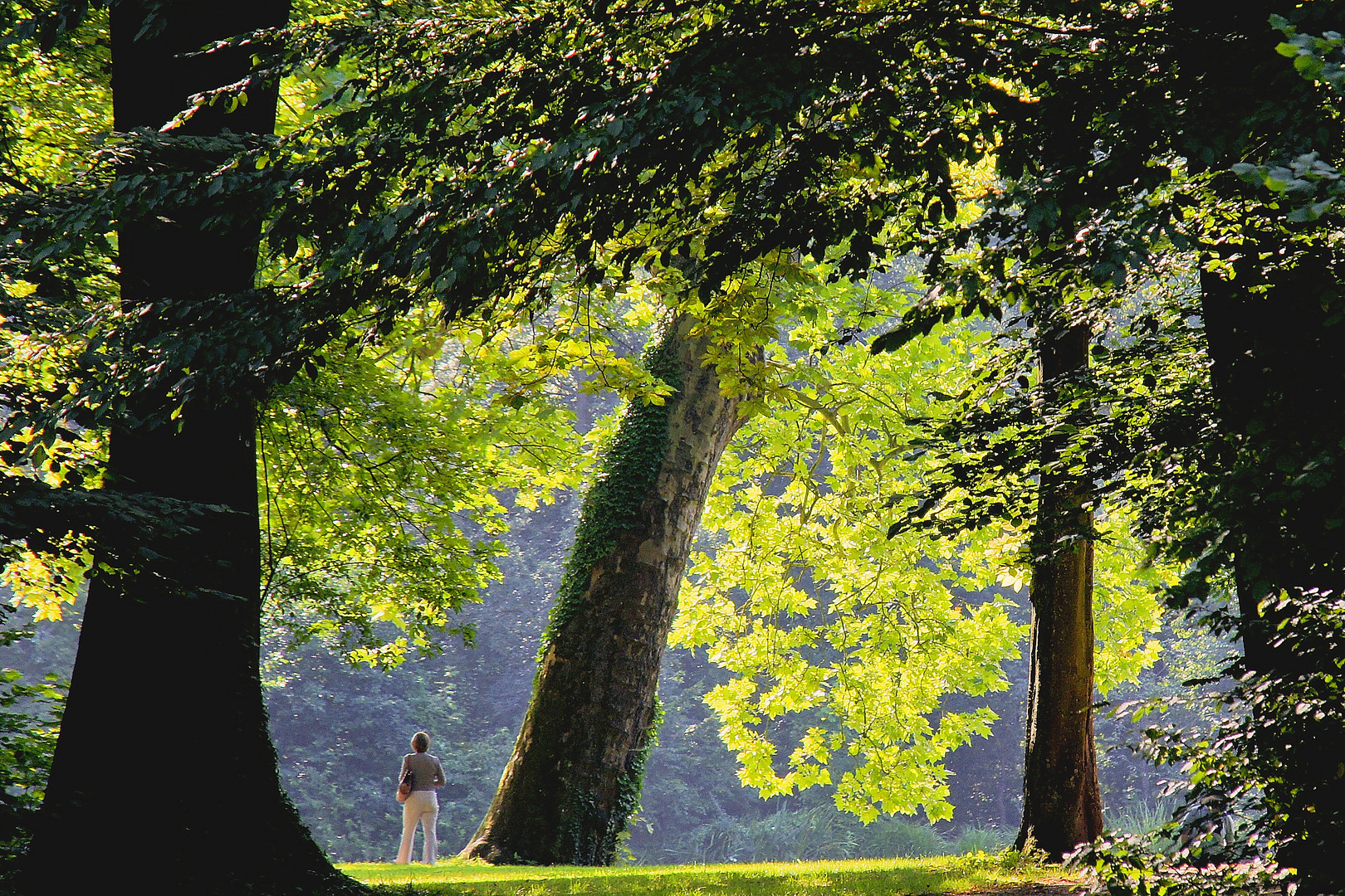 Schlossgarten in Schwetzingen