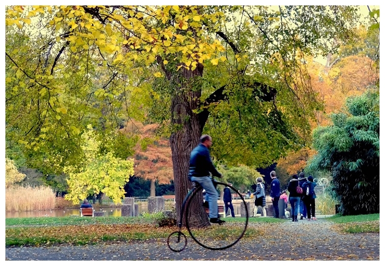 Schloßgarten Karlsruhe, Draisine