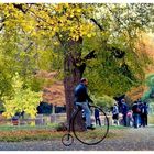 Schloßgarten Karlsruhe, Draisine