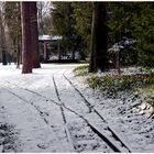 schlossgarten karlsruhe, mit "ganz viel" schnee,