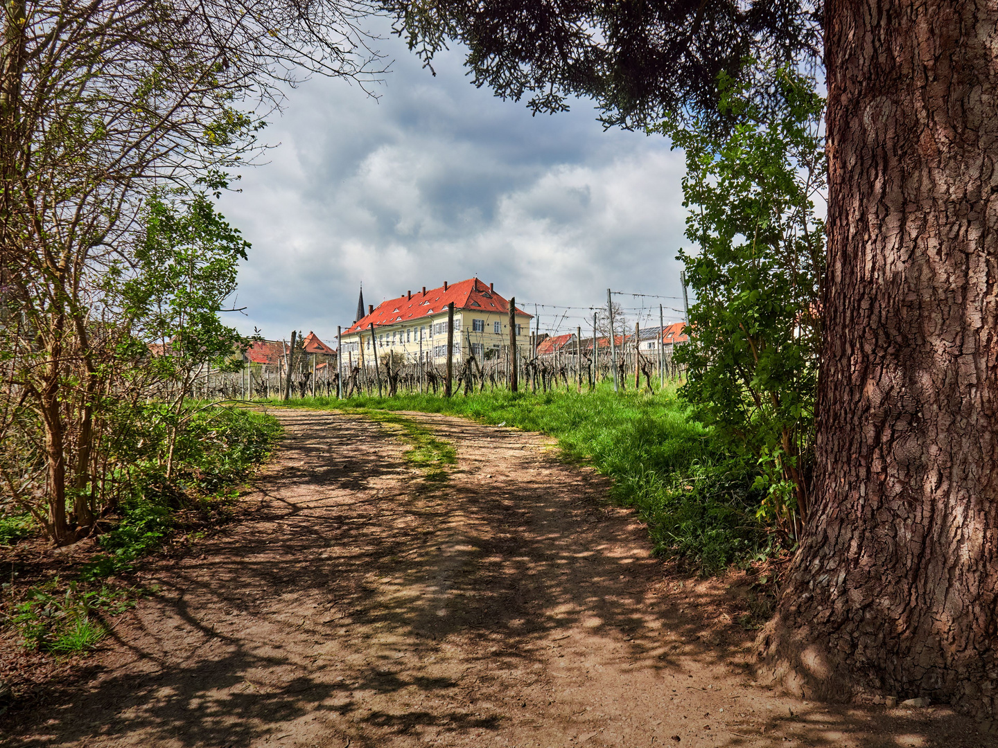 Schlossgarten Kirchheimbolanden