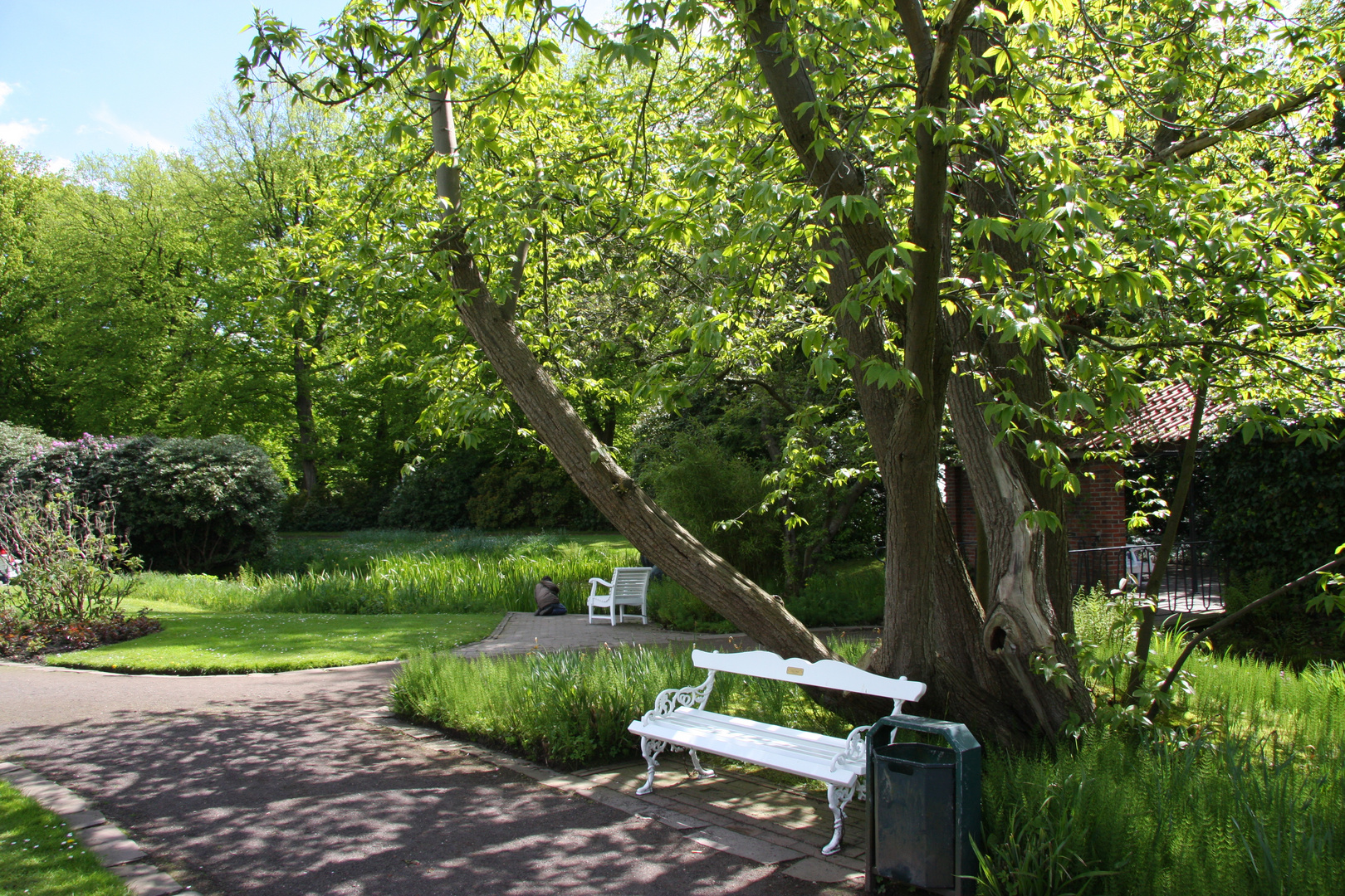 Schloßgarten OL im Frühling