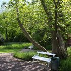 Schloßgarten OL im Frühling