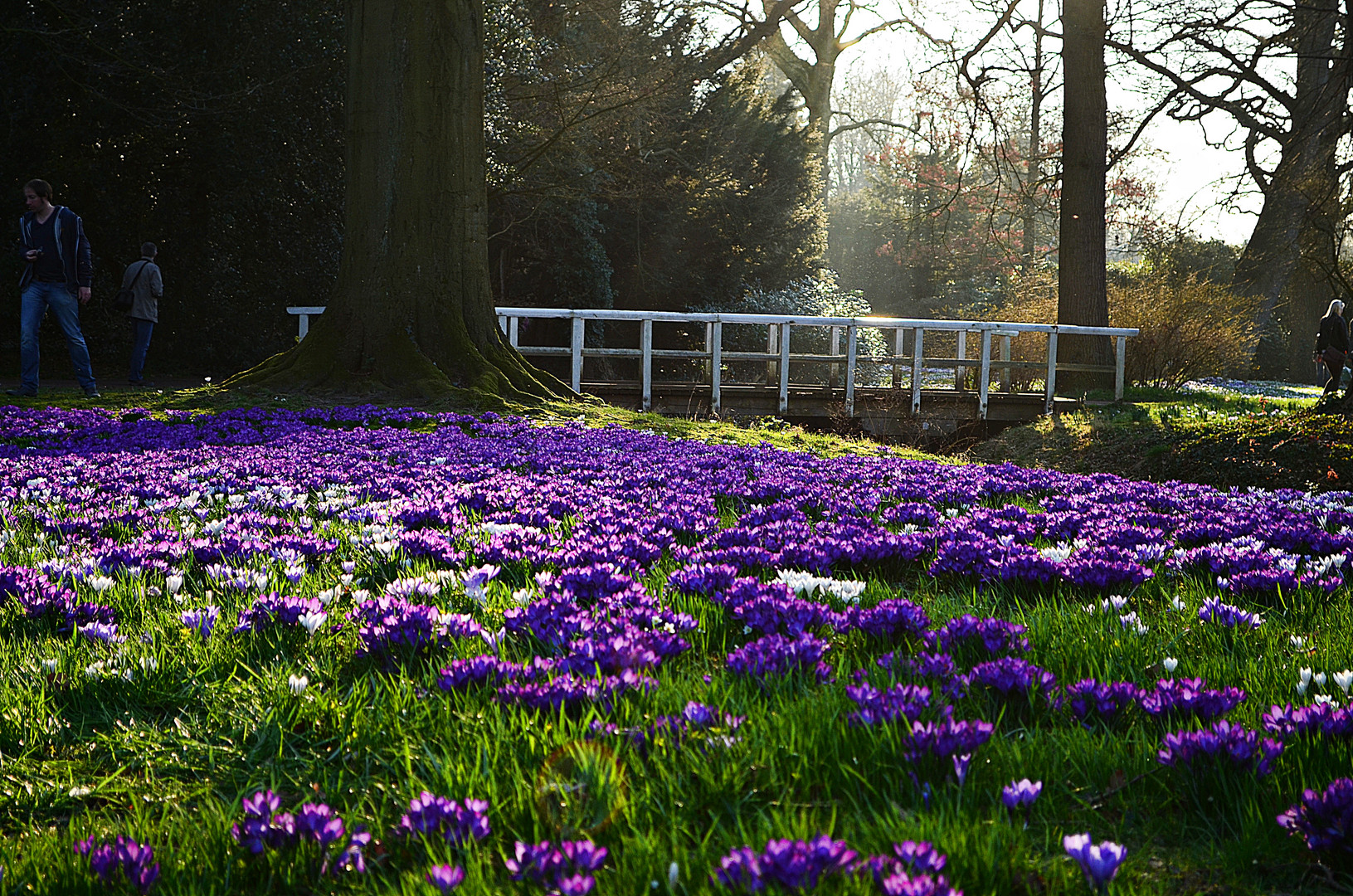 Schlossgarten Oldenburg