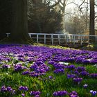 Schlossgarten Oldenburg