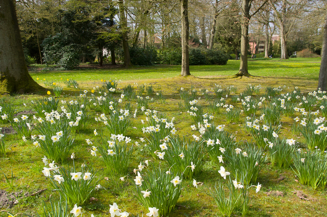 Schlossgarten Oldenburg