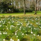 Schlossgarten Oldenburg