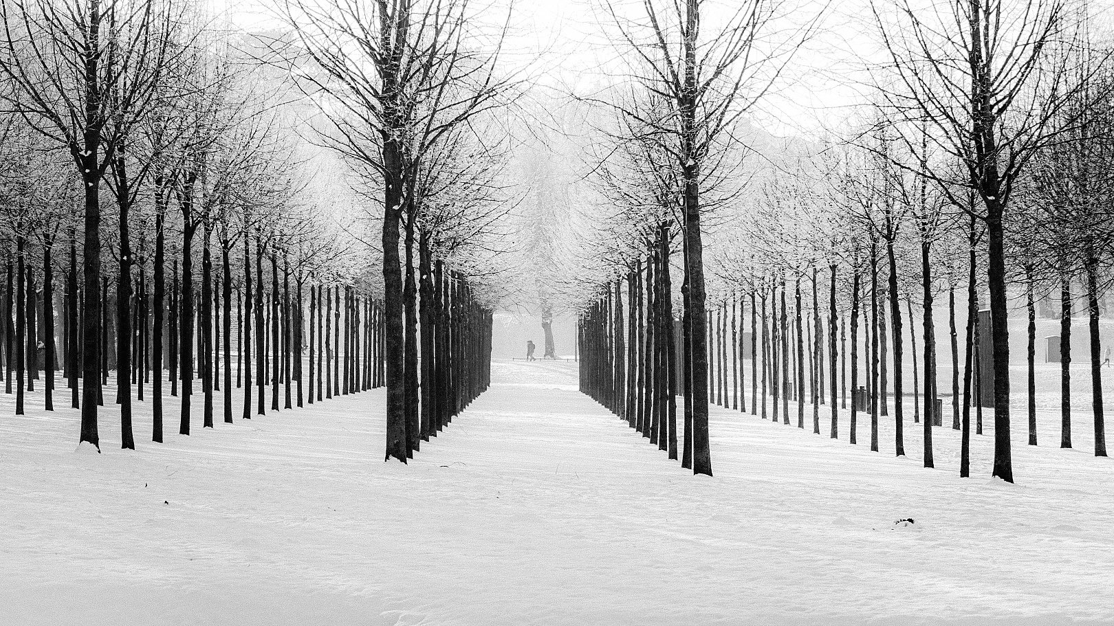 Schlossgarten Schwerin