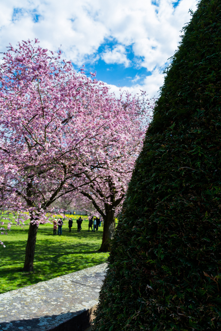 Schlossgarten Schwetzingen