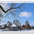 Schlossgarten Stadthagen im Winter