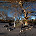 Schlossgarten Stuttgart - Panorama