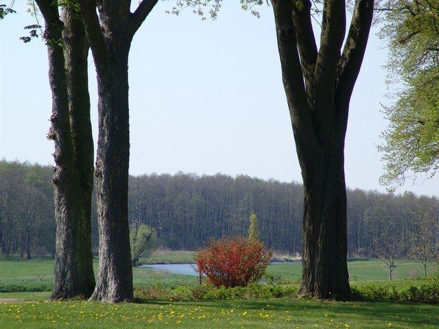 Schloßgarten Vanselow im Tollensetal