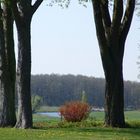 Schloßgarten Vanselow im Tollensetal