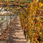 Schlossgarten Villandry