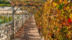 Schlossgarten Villandry